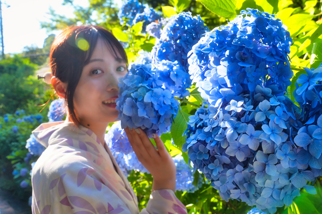 紫陽花日和