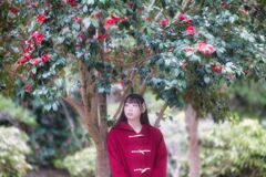 彼女たちの世界