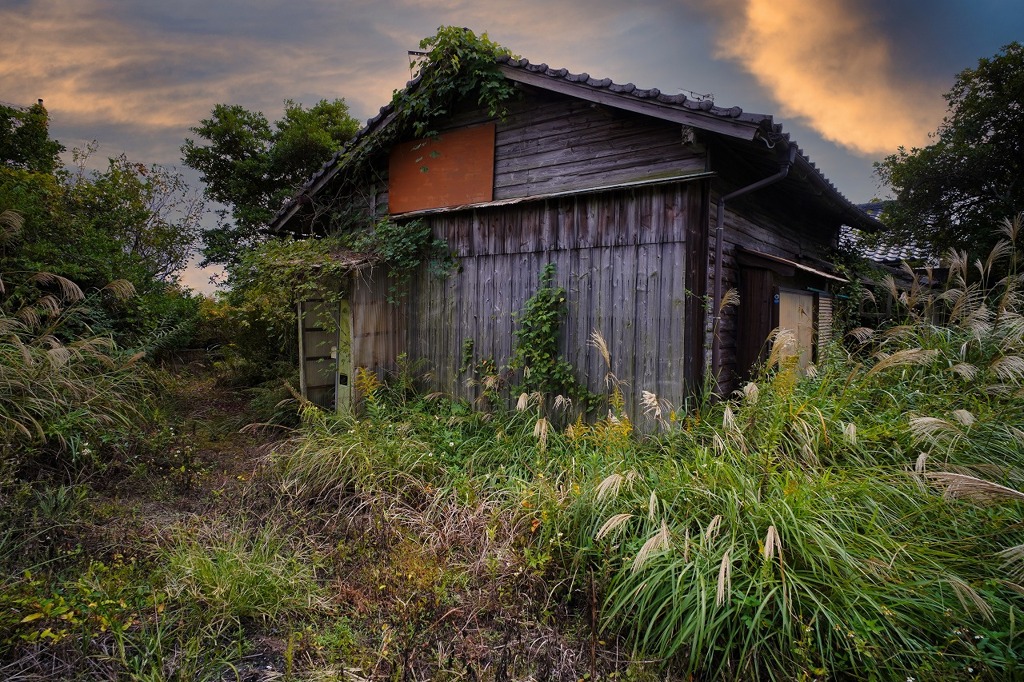 夕暮れ写真集