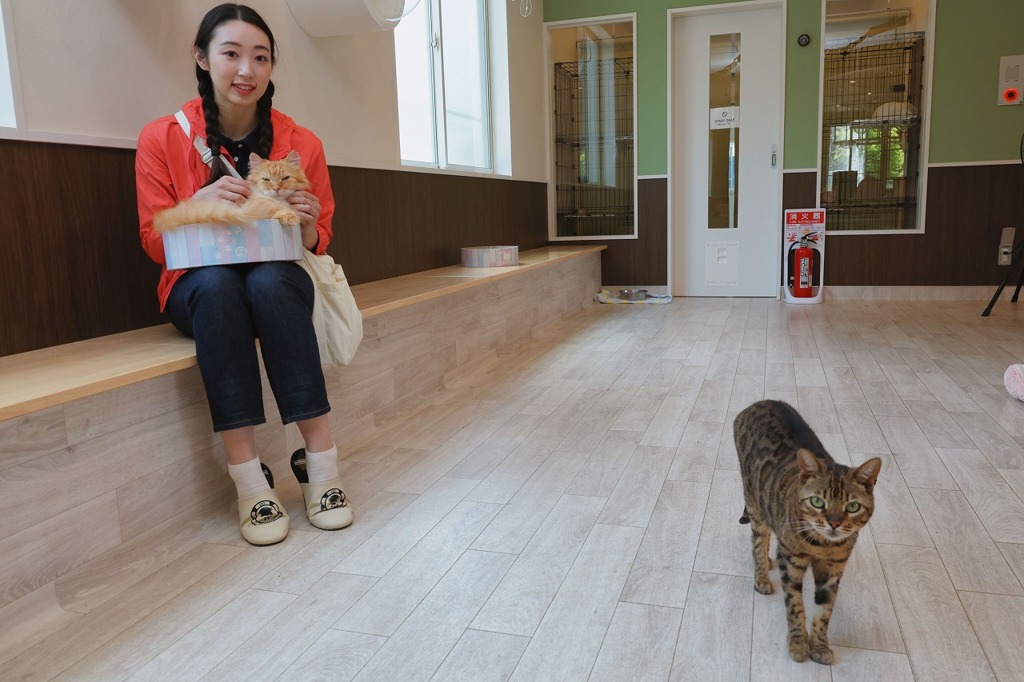 彼女たちの世界