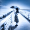 夏は去る　（２）