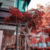urban scenery