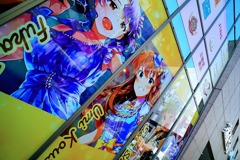 青色採集作業