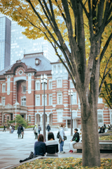 東京徘徊記録