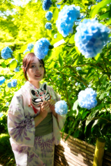 紫陽花の初夏