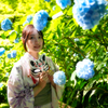 紫陽花の初夏