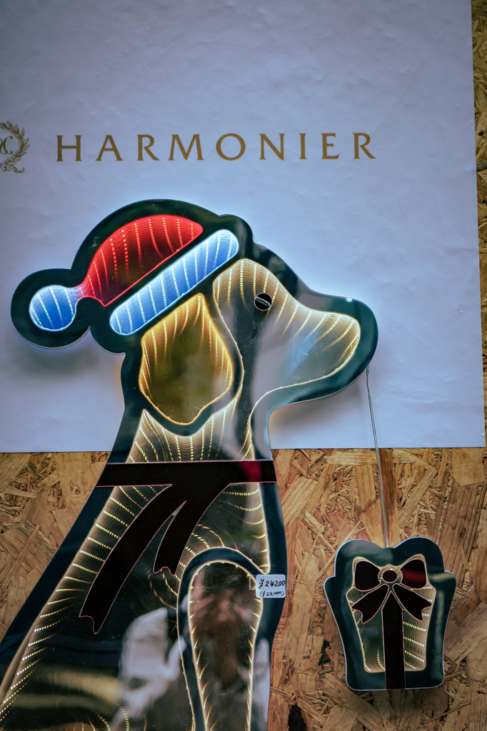 季節がずれました