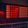 京都病