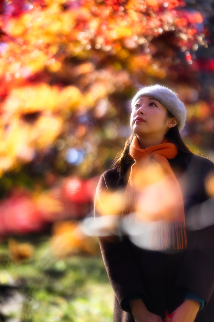 Let's take pictures of autumn leaves