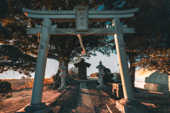 田舎道