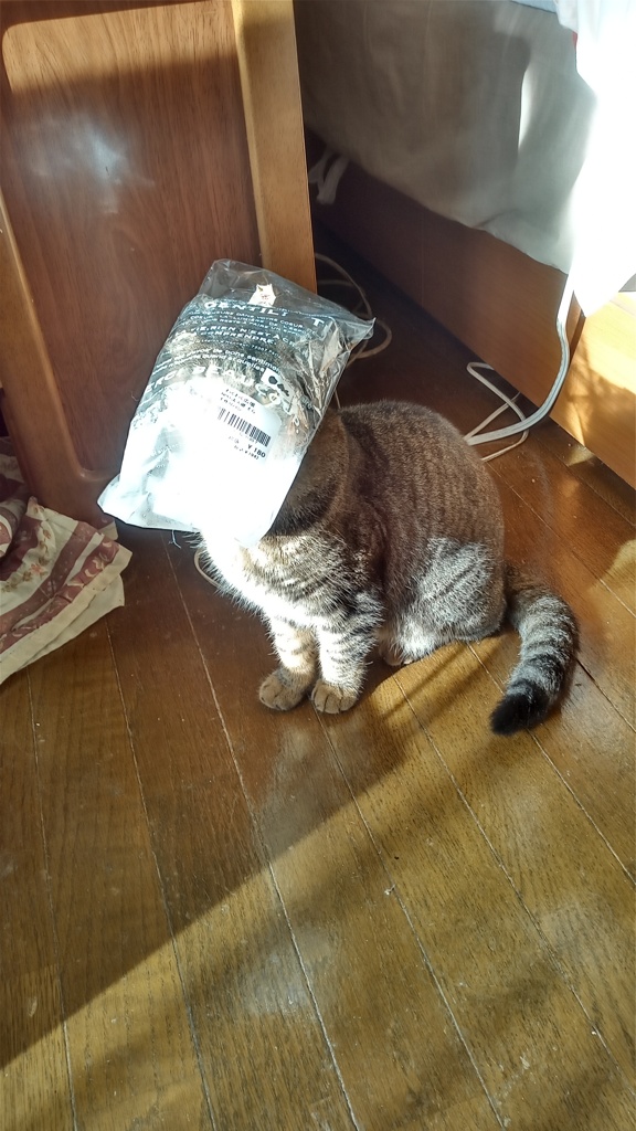 こんなに大きくなりました