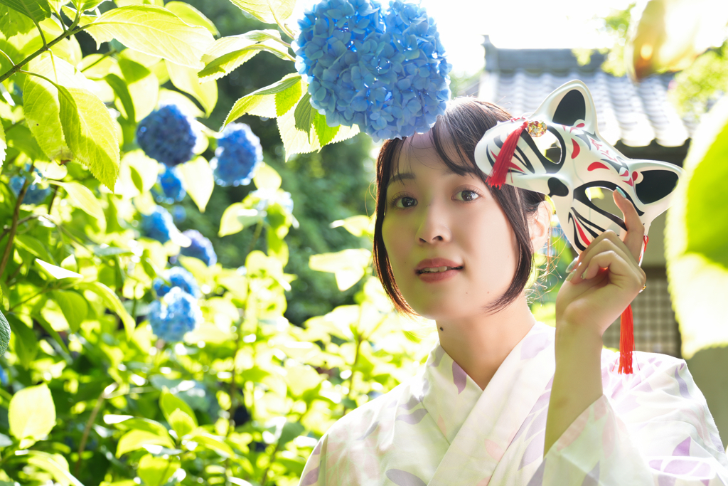 紫陽花の初夏