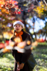 Let's take pictures of autumn leaves