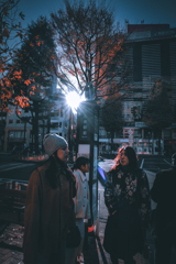 彼女たちの世界