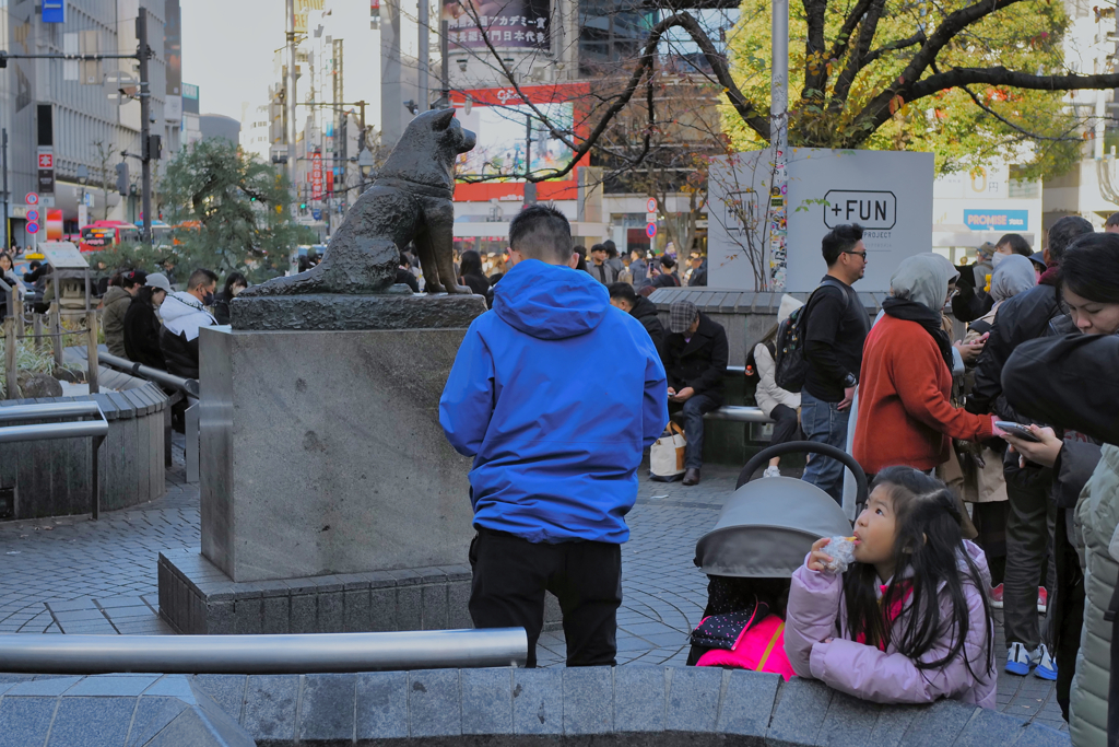 じじいが渋谷に行っても人酔いするだけ