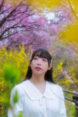今年の桜は良いさくら