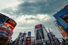 昨日来た道覚えてますか？