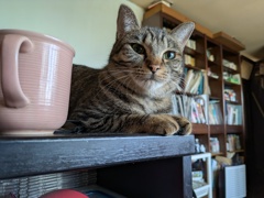 こんなに大きくなりました