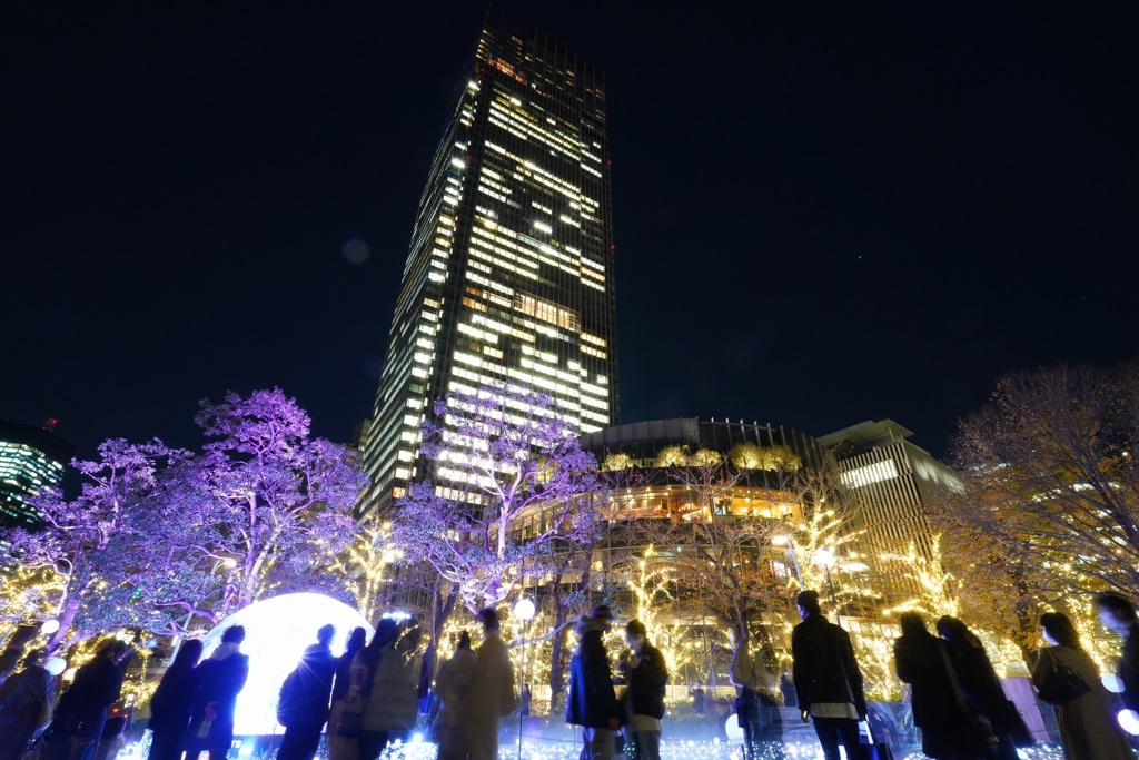 今年、最後のイルミネーション