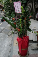 台北の花