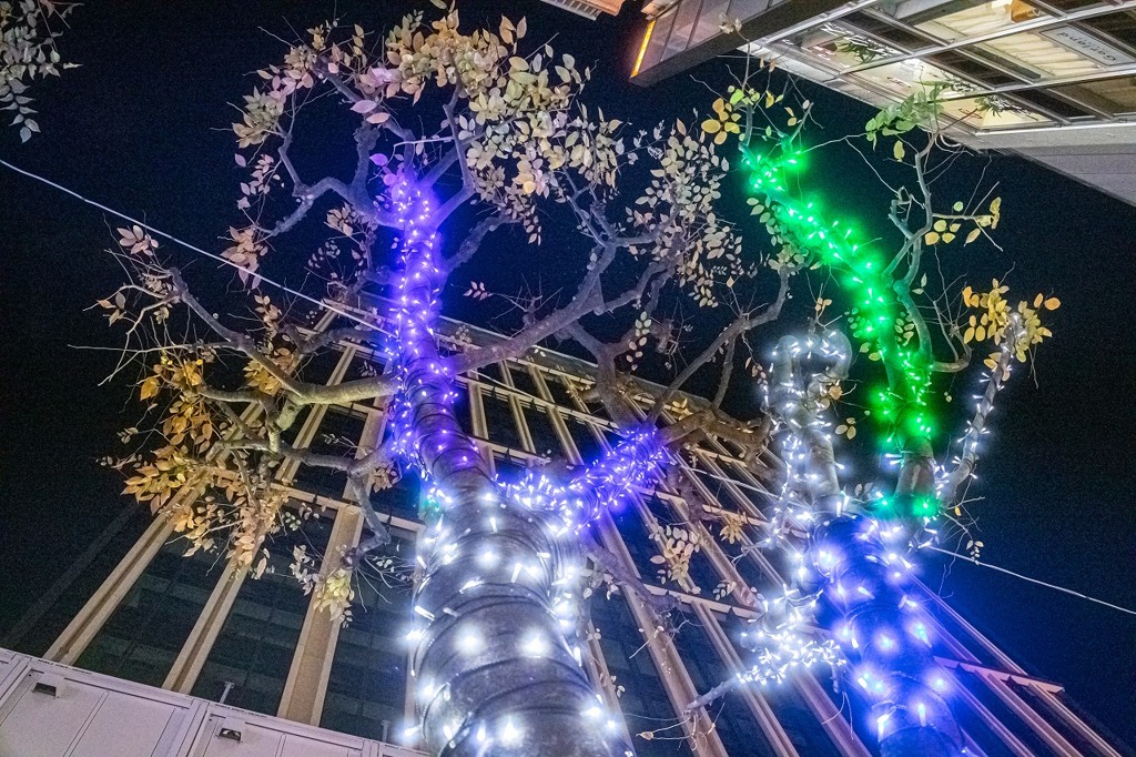 東京の夜　徘徊記録