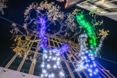 東京の夜　徘徊記録