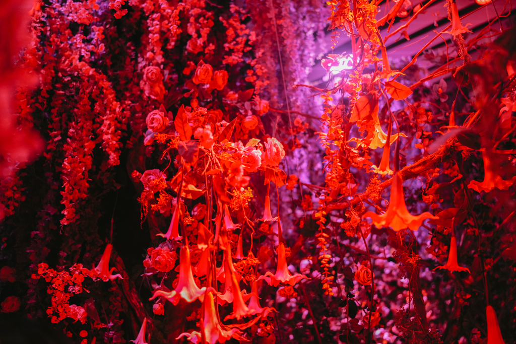 蜷川実花展