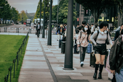 美しい丸の内