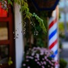 色彩採集作業