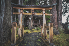忘却のかなたに