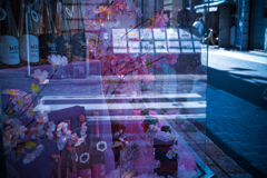 京都徘徊記録