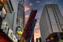 夕暮れ写真集