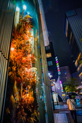 東京徘徊記録