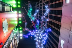 大掃除もやつと終わった年の瀬