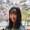 今年の櫻は良いサクラ