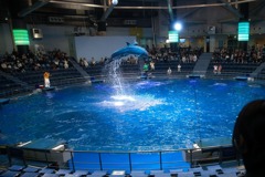 水族館徘徊記録