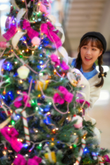 彼女たちの世界
