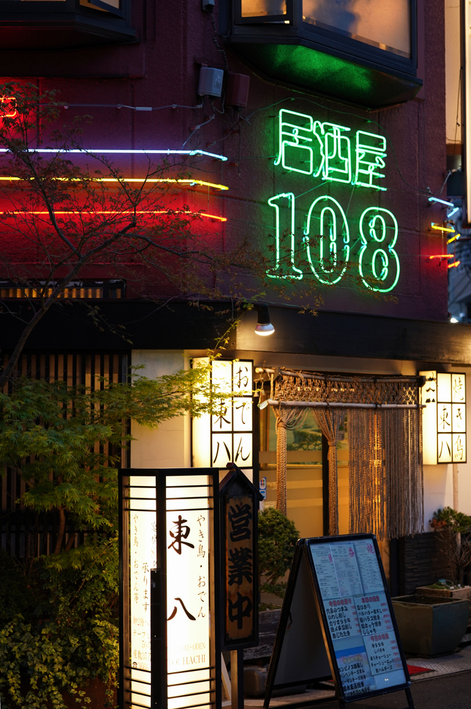 東京徘徊記録