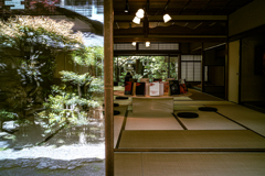 京都徘徊記録