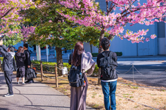 春がきちゃったね