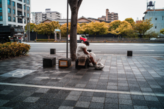 京都で見たもの