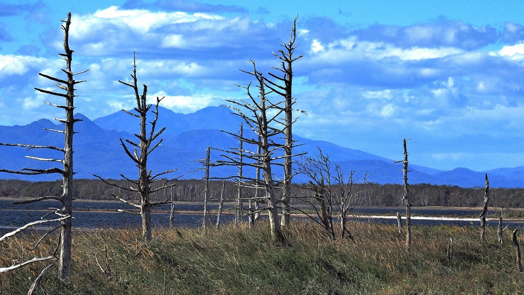 再見、東北海道（２）