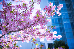 春がきちゃったね