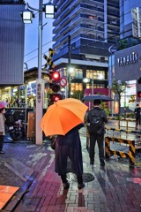 夕暮れ、雨降り、下町模様　（３）