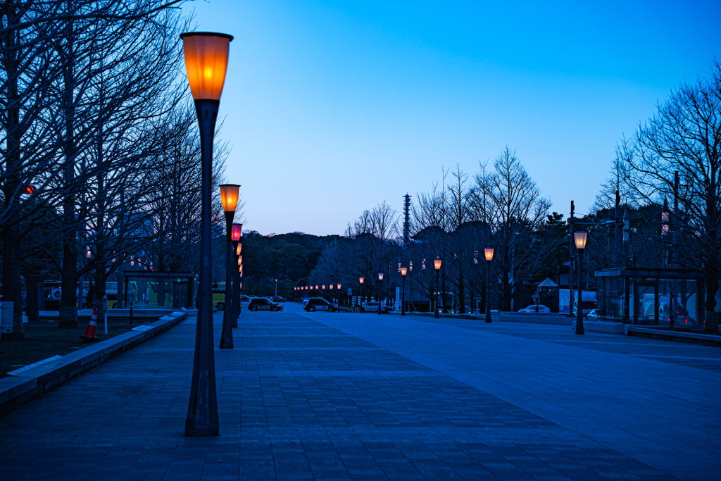 さようなら２０２５年