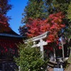 Late fall autumn  (1)