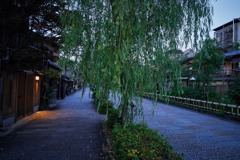 京都のホスピタリティ