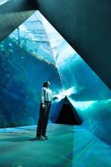 彼女たちの世界