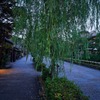 京都極楽寺坂の門前で・・・