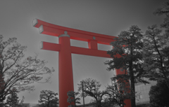 流れ去る時を止めて